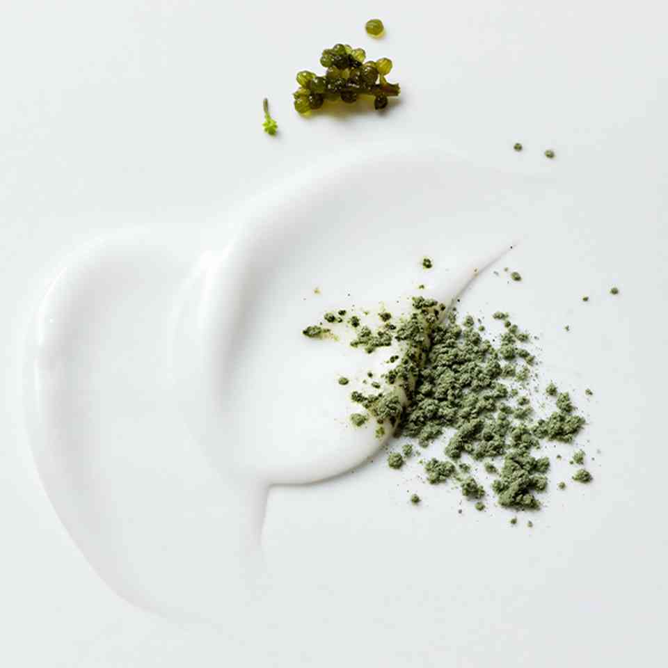 Calming Hydration Cream